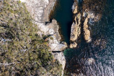 Nehir ve çimlerle kaplı bir havacılık arazisi. Sahilde sığır çiftliği ve deniz kenarında. Okyanus kıyısında ot otlayan ineklerle birlikte tarım.
