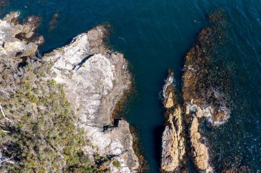 Nehir ve çimlerle kaplı bir havacılık arazisi. Sahilde sığır çiftliği ve deniz kenarında. Okyanus kıyısında ot otlayan ineklerle birlikte tarım.