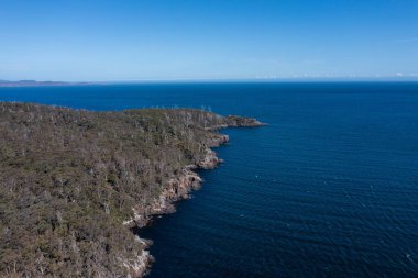 Nehir ve çimlerle kaplı bir havacılık arazisi. Sahilde sığır çiftliği ve deniz kenarında. Okyanus kıyısında ot otlayan ineklerle birlikte tarım.