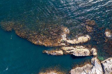 Nehir ve çimlerle kaplı bir havacılık arazisi. Sahilde sığır çiftliği ve deniz kenarında. Okyanus kıyısında ot otlayan ineklerle birlikte tarım.