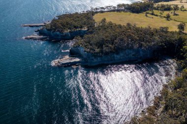 Nehir ve çimlerle kaplı bir havacılık arazisi. Sahilde sığır çiftliği ve deniz kenarında. Okyanus kıyısında ot otlayan ineklerle birlikte tarım.