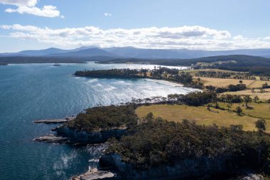 Nehir ve çimlerle kaplı bir havacılık arazisi. Sahilde sığır çiftliği ve deniz kenarında. Okyanus kıyısında ot otlayan ineklerle birlikte tarım.