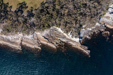 Nehir ve çimlerle kaplı bir havacılık arazisi. Sahilde sığır çiftliği ve deniz kenarında. Okyanus kıyısında ot otlayan ineklerle birlikte tarım.