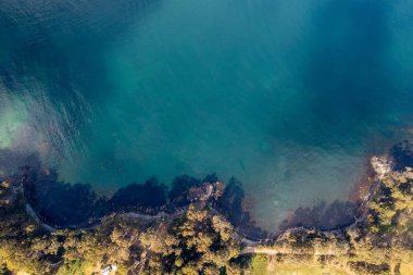 Nehir ve çimlerle kaplı bir havacılık arazisi. Sahilde sığır çiftliği ve deniz kenarında. Okyanus kıyısında ot otlayan ineklerle birlikte tarım.