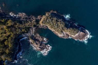Nehir ve çimlerle kaplı bir havacılık arazisi. Sahilde sığır çiftliği ve deniz kenarında. Okyanus kıyısında ot otlayan ineklerle birlikte tarım.