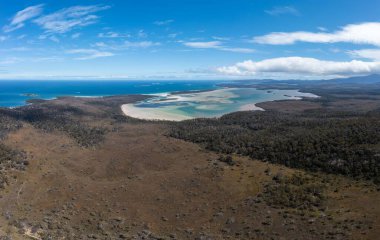 Ormanla çevrili sahil şeridindeki bir sahil kasabasının aşağı manzarası.