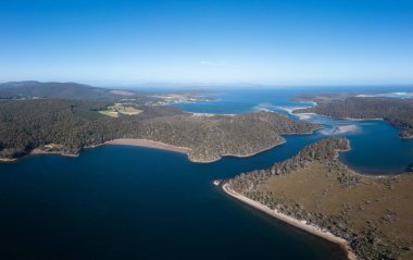 Ormanla çevrili sahil şeridindeki bir sahil kasabasının aşağı manzarası.