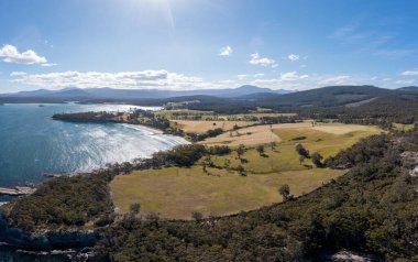Ormanla çevrili sahil şeridindeki bir sahil kasabasının aşağı manzarası.