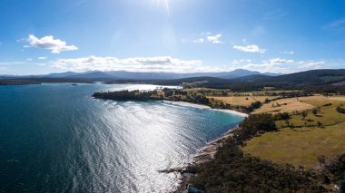 Ormanla çevrili sahil şeridindeki bir sahil kasabasının aşağı manzarası.