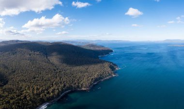Ormanla çevrili sahil şeridindeki bir sahil kasabasının aşağı manzarası.