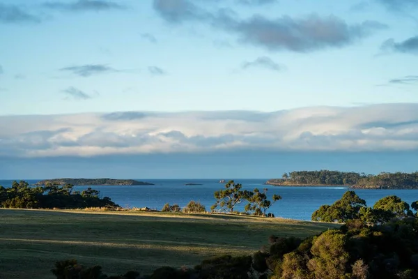 Nehir ve çimlerle kaplı bir havacılık arazisi. Sahilde sığır çiftliği ve deniz kenarında. Okyanus kıyısında ot otlayan ineklerle birlikte tarım.