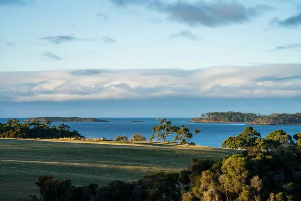 Nehir ve çimlerle kaplı bir havacılık arazisi. Sahilde sığır çiftliği ve deniz kenarında. Okyanus kıyısında ot otlayan ineklerle birlikte tarım.