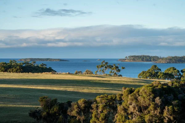 Paisaje Granja Aérea Con Río Hierba Rancho Ganado Playa Junto — Foto de Stock