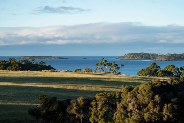 Nehir ve çimlerle kaplı bir havacılık arazisi. Sahilde sığır çiftliği ve deniz kenarında. Okyanus kıyısında ot otlayan ineklerle birlikte tarım.