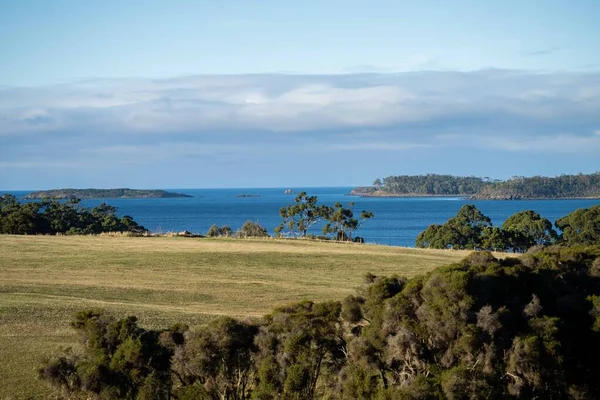 Nehir ve çimlerle kaplı bir havacılık arazisi. Sahilde sığır çiftliği ve deniz kenarında. Okyanus kıyısında ot otlayan ineklerle birlikte tarım.