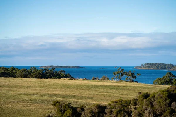 Nehir ve çimlerle kaplı bir havacılık arazisi. Sahilde sığır çiftliği ve deniz kenarında. Okyanus kıyısında ot otlayan ineklerle birlikte tarım.