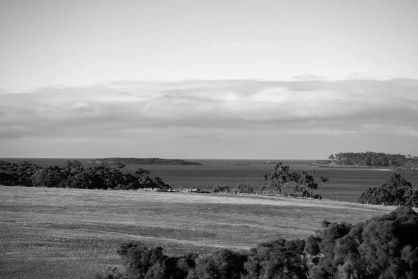 Paysage Agricole Aérien Avec Rivière Herbe Ranch Bétail Sur Plage — Photo