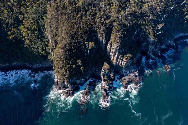 Nehir ve çimlerle kaplı bir havacılık arazisi. Sahilde sığır çiftliği ve deniz kenarında. Okyanus kıyısında ot otlayan ineklerle birlikte tarım.