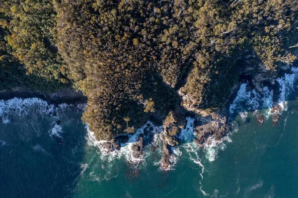 Nehir ve çimlerle kaplı bir havacılık arazisi. Sahilde sığır çiftliği ve deniz kenarında. Okyanus kıyısında ot otlayan ineklerle birlikte tarım.