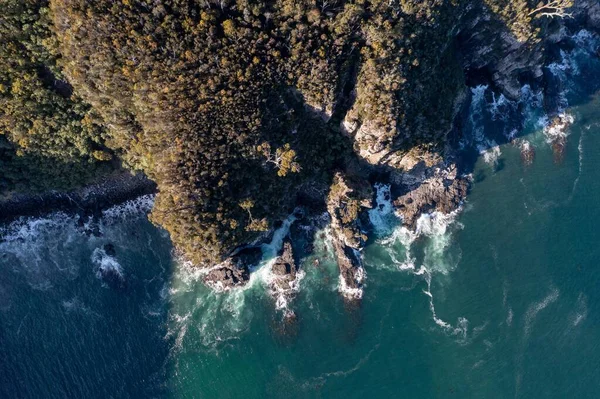 Nehir ve çimlerle kaplı bir havacılık arazisi. Sahilde sığır çiftliği ve deniz kenarında. Okyanus kıyısında ot otlayan ineklerle birlikte tarım.