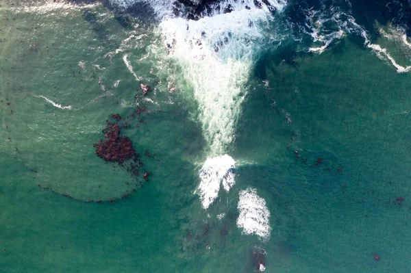 Nehir ve çimlerle kaplı bir havacılık arazisi. Sahilde sığır çiftliği ve deniz kenarında. Okyanus kıyısında ot otlayan ineklerle birlikte tarım.
