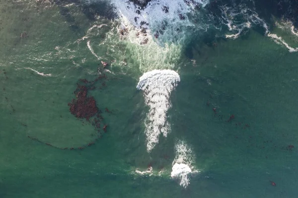 Nehir ve çimlerle kaplı bir havacılık arazisi. Sahilde sığır çiftliği ve deniz kenarında. Okyanus kıyısında ot otlayan ineklerle birlikte tarım.