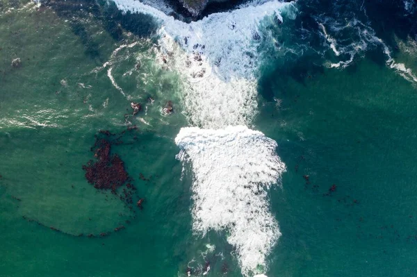 Nehir ve çimlerle kaplı bir havacılık arazisi. Sahilde sığır çiftliği ve deniz kenarında. Okyanus kıyısında ot otlayan ineklerle birlikte tarım.