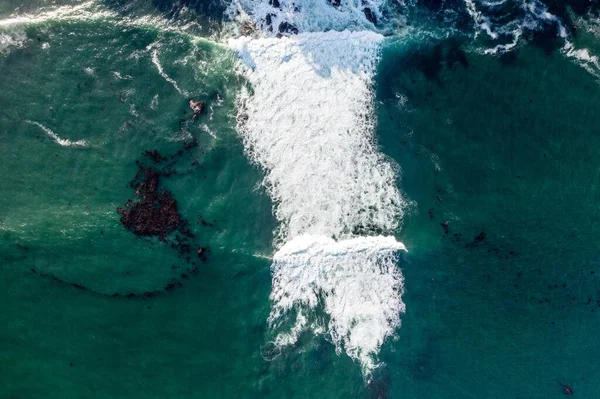 Nehir ve çimlerle kaplı bir havacılık arazisi. Sahilde sığır çiftliği ve deniz kenarında. Okyanus kıyısında ot otlayan ineklerle birlikte tarım.