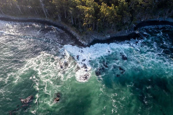 Nehir ve çimlerle kaplı bir havacılık arazisi. Sahilde sığır çiftliği ve deniz kenarında. Okyanus kıyısında ot otlayan ineklerle birlikte tarım.