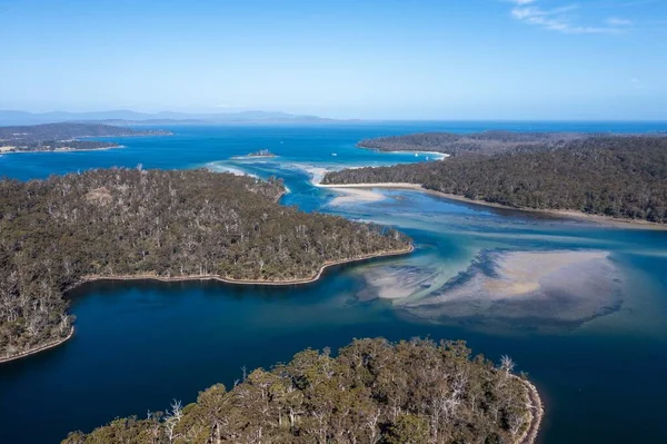 Nehir ve çimlerle kaplı bir havacılık arazisi. Sahilde sığır çiftliği ve deniz kenarında. Okyanus kıyısında ot otlayan ineklerle birlikte tarım.
