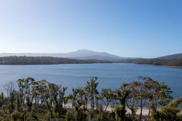 Nehir ve çimlerle kaplı bir havacılık arazisi. Sahilde sığır çiftliği ve deniz kenarında. Okyanus kıyısında ot otlayan ineklerle birlikte tarım.