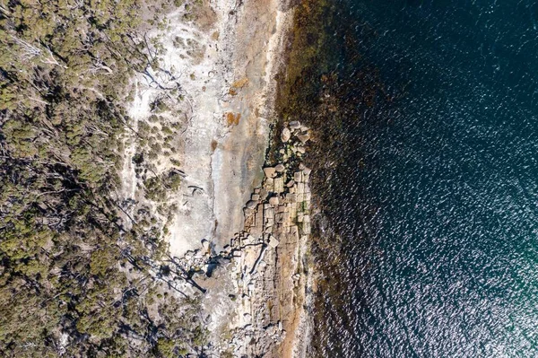 Nehir ve çimlerle kaplı bir havacılık arazisi. Sahilde sığır çiftliği ve deniz kenarında. Okyanus kıyısında ot otlayan ineklerle birlikte tarım.