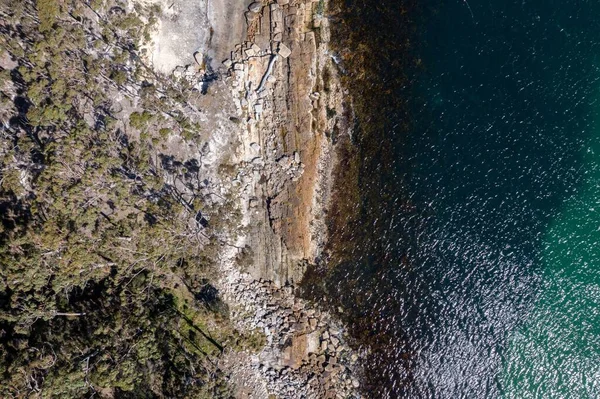 Nehir ve çimlerle kaplı bir havacılık arazisi. Sahilde sığır çiftliği ve deniz kenarında. Okyanus kıyısında ot otlayan ineklerle birlikte tarım.