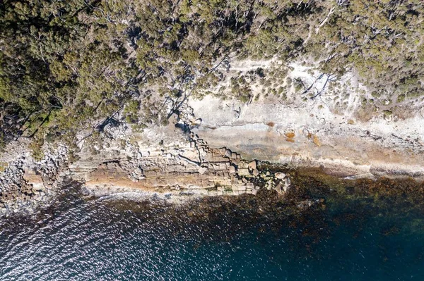 Nehir ve çimlerle kaplı bir havacılık arazisi. Sahilde sığır çiftliği ve deniz kenarında. Okyanus kıyısında ot otlayan ineklerle birlikte tarım.