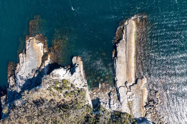 Nehir Çimlerle Kaplı Bir Havacılık Arazisi Sahilde Sığır Çiftliği Deniz — Stok fotoğraf