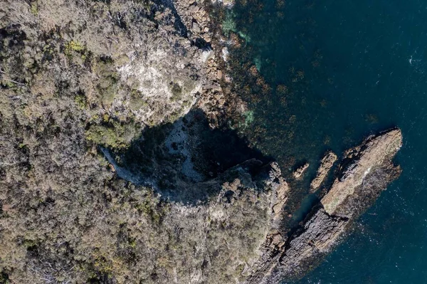 Nehir ve çimlerle kaplı bir havacılık arazisi. Sahilde sığır çiftliği ve deniz kenarında. Okyanus kıyısında ot otlayan ineklerle birlikte tarım.