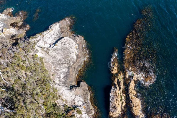 Nehir ve çimlerle kaplı bir havacılık arazisi. Sahilde sığır çiftliği ve deniz kenarında. Okyanus kıyısında ot otlayan ineklerle birlikte tarım.