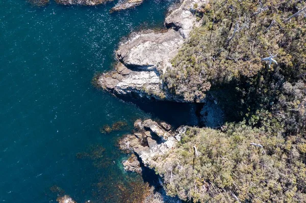 Nehir ve çimlerle kaplı bir havacılık arazisi. Sahilde sığır çiftliği ve deniz kenarında. Okyanus kıyısında ot otlayan ineklerle birlikte tarım.