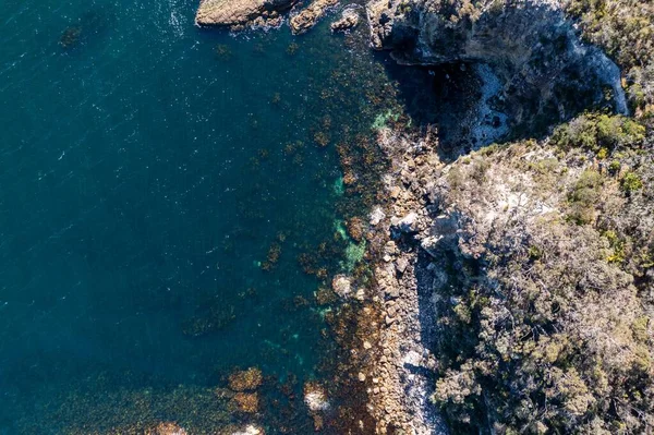 Nehir ve çimlerle kaplı bir havacılık arazisi. Sahilde sığır çiftliği ve deniz kenarında. Okyanus kıyısında ot otlayan ineklerle birlikte tarım.