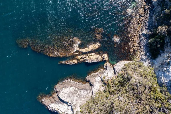 Nehir ve çimlerle kaplı bir havacılık arazisi. Sahilde sığır çiftliği ve deniz kenarında. Okyanus kıyısında ot otlayan ineklerle birlikte tarım.