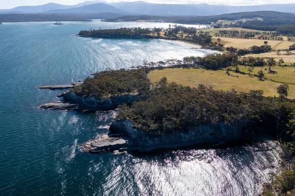 Nehir ve çimlerle kaplı bir havacılık arazisi. Sahilde sığır çiftliği ve deniz kenarında. Okyanus kıyısında ot otlayan ineklerle birlikte tarım.