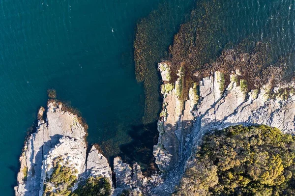 Nehir ve çimlerle kaplı bir havacılık arazisi. Sahilde sığır çiftliği ve deniz kenarında. Okyanus kıyısında ot otlayan ineklerle birlikte tarım.