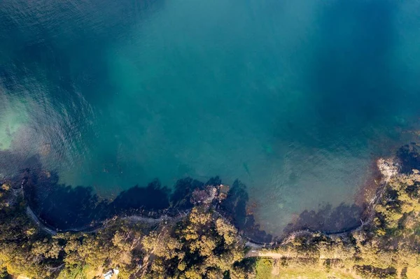 Nehir ve çimlerle kaplı bir havacılık arazisi. Sahilde sığır çiftliği ve deniz kenarında. Okyanus kıyısında ot otlayan ineklerle birlikte tarım.