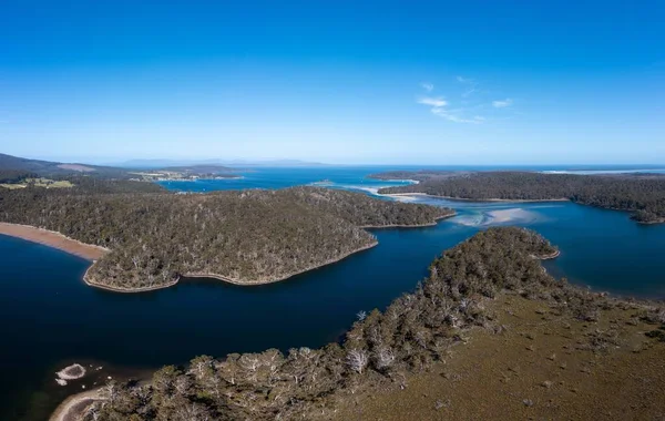 Ormanla çevrili sahil şeridindeki bir sahil kasabasının aşağı manzarası.