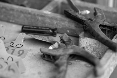 Beef cattle and cows in Australia