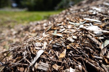 Tahta parçaları ve gübre yığını, Tazmanya Avustralya 'da organik termofilik gübre dönüşüyor. 