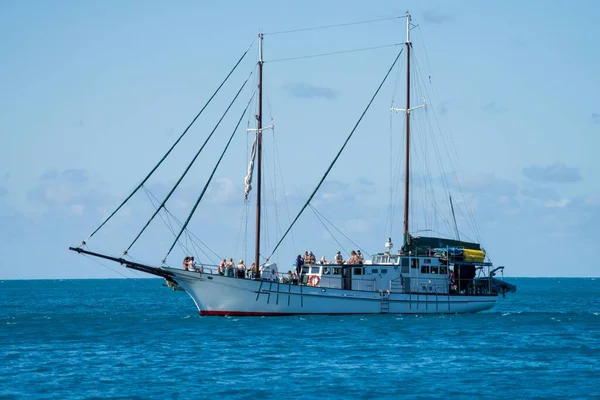 Turist Båtar Och Turbåtar Whitsundays Queensland Australien Resenärer Det Stora — Stockfoto