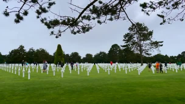 Mer Frankrike Augusti 2021 Amerikansk Kyrkogård Kantad Kors Vid Corlleville — Stockvideo