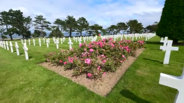 2021年8月5日 第二次世界大戦中にヨーロッパで戦死したアメリカ兵を顕彰する第二次世界大戦墓地であるコルヴィル シュル メールの十字架が並ぶアメリカ墓地 — ストック動画