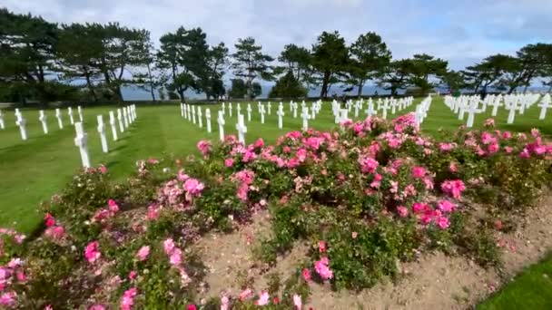 Mer Frankrike Augusti 2021 Amerikansk Kyrkogård Kantad Kors Vid Colleville — Stockvideo